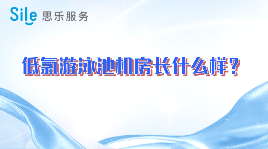 低氯游泳池机房长什么样？